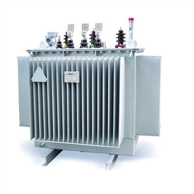 S11 Transformer Mgħaddas fiż-Żejt